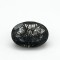 Black Rotile  6.51 Ct Gem Quality
